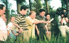 周开达向人们介绍水稻种植情况